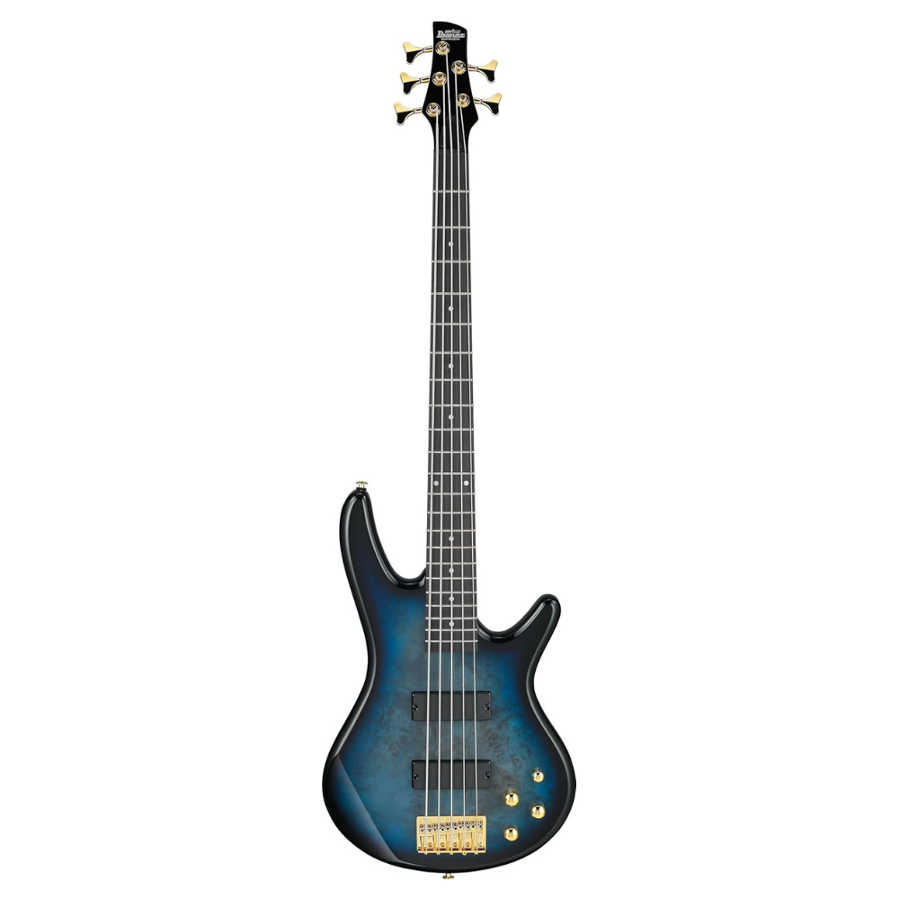 Untitled design - 2026-04-12T035538.144 GSR205PC GIO 5-String Bass Guitar - Image 1
